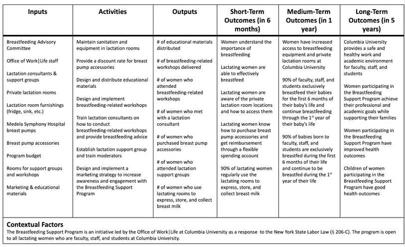 Logic model of the breastfeeding support program