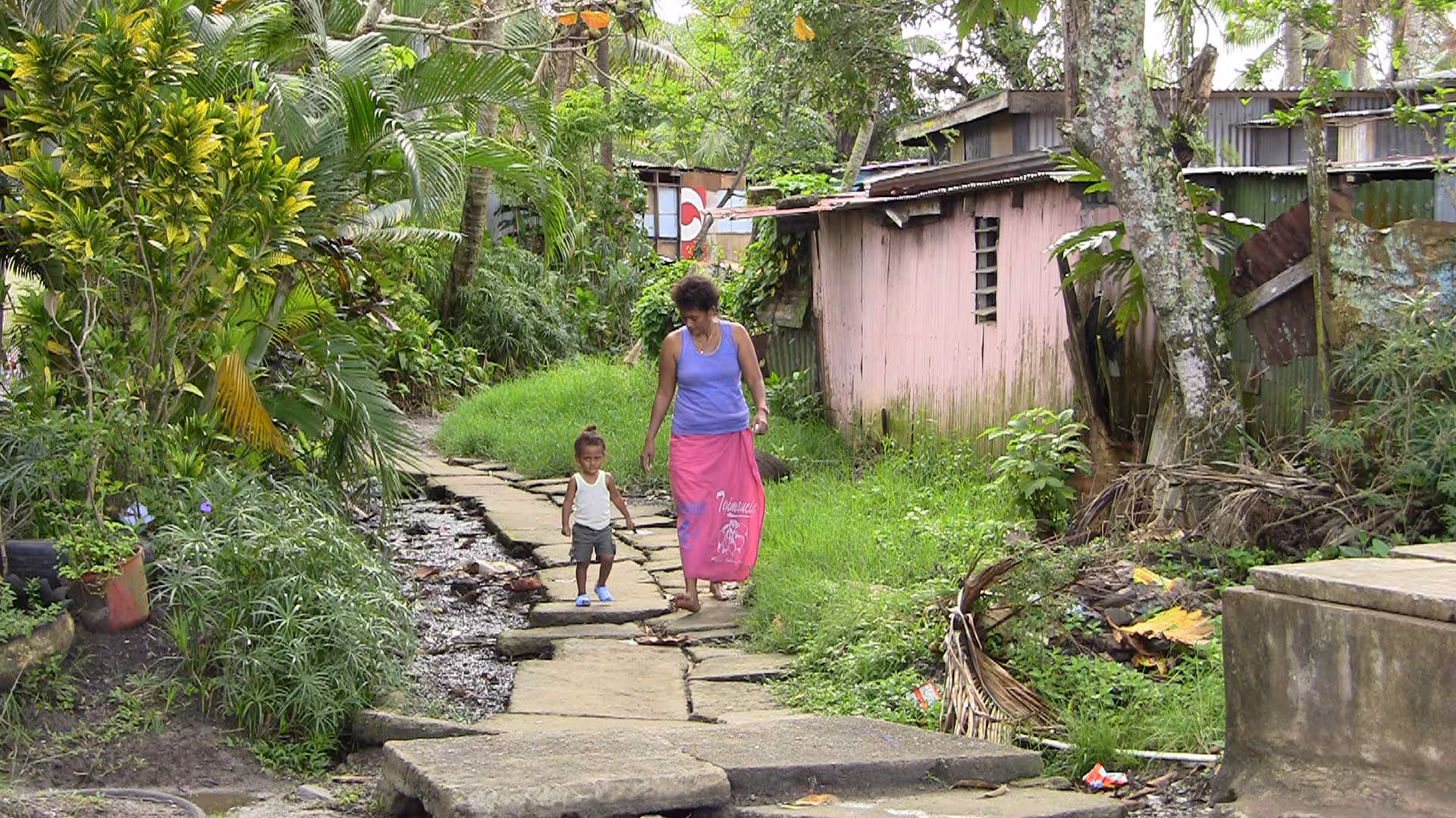 Global Environment Facility - PCCAPHH project - Wailea settlement, Fiji